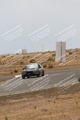 media/May-03-2025-Lucky Dog Racing (Sat) [[206de64b9d]]/Turn 6 (150pm-230pm)/